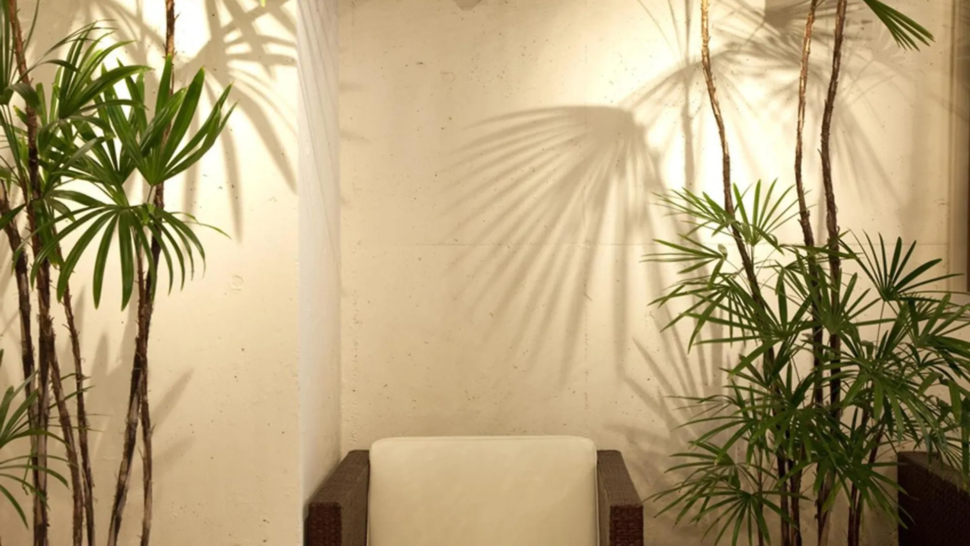 Osaka - Hotel / Vacation Stay 70127