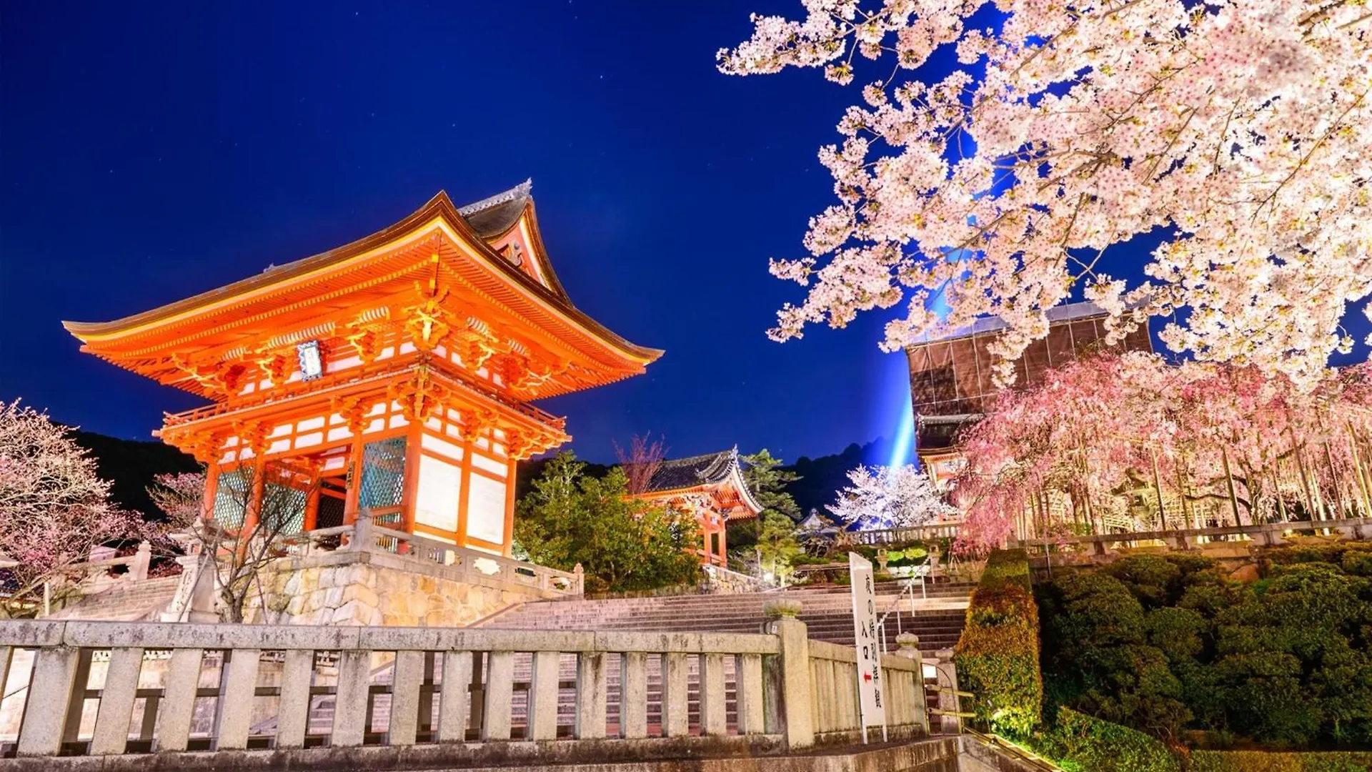 Osaka - Hotel / Vacation Stay 70127